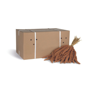 Panico Spighe Sfuso Uso Zootecnico Kg 15