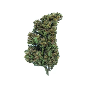 La Canapa Legale | Pink Lady CBD