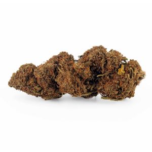 xxxJoint | Purple Haze