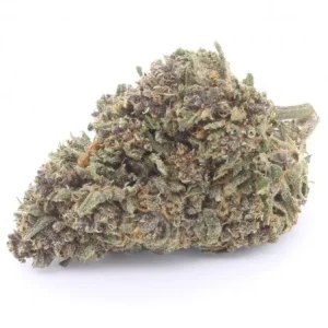 Sensimilla | Purple Queen