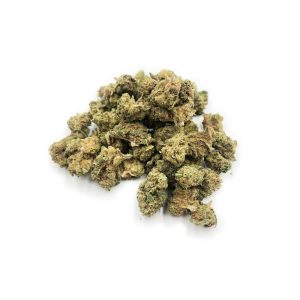  Super 24 | Charlotte