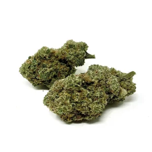 Primero | White Widow 4.0