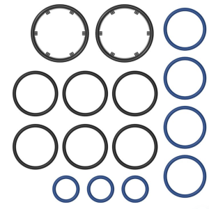 Storz & Bickel | Set di Anello O