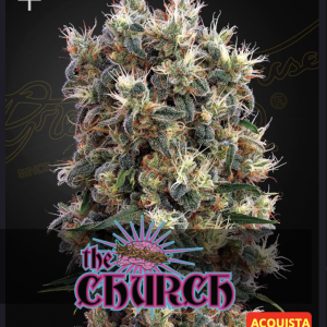 Greenhouse seeds | The Church